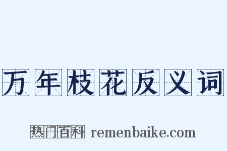 万年枝花反义词是什么意思的图片